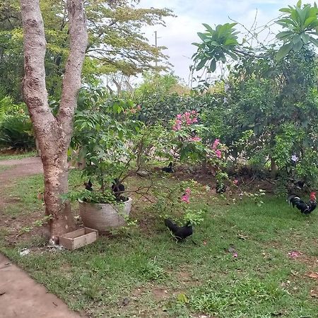Chacara Pousada Sagui Cuiaba  Luaran gambar